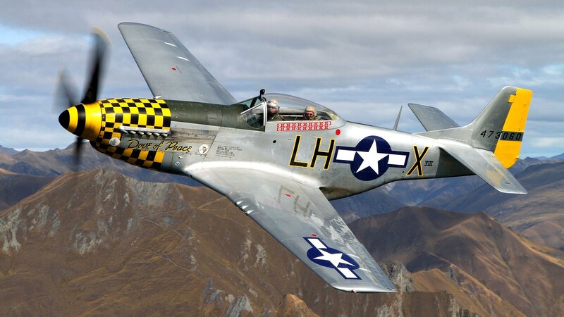 P-51 Mustang Aircraft — Gray, Dynamic