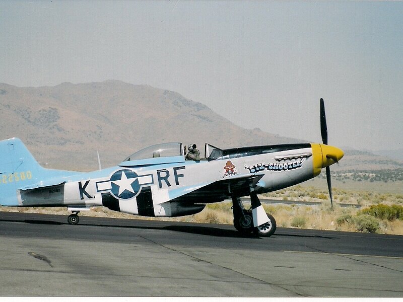 P-51 Mustang Aircraft — Gray, Neutral