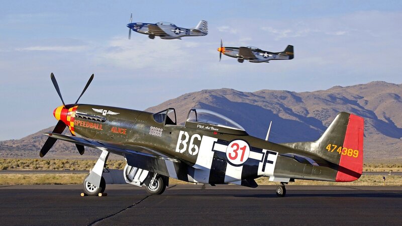 P-51 Mustang Aircraft — Green, Dramatic, Afternoon