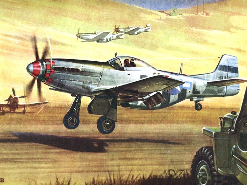 P-51 Mustang Aircraft — Silver, Dramatic, Afternoon
