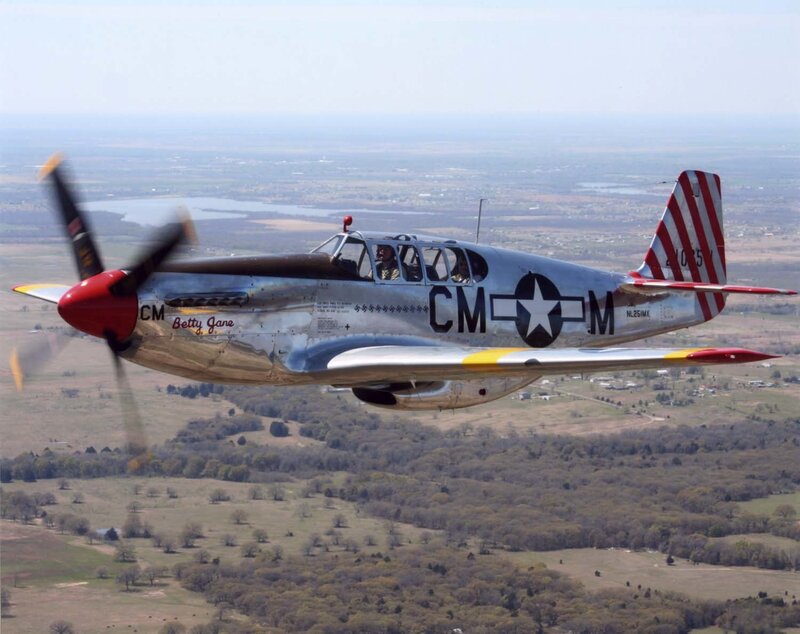 P-51 Mustang Aircraft — Silver, Serene