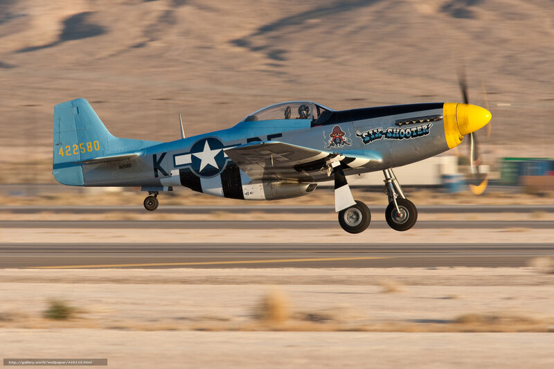 P-51 Mustang Airplane — Blue, Dynamic, Sunset