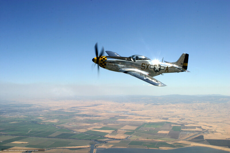 P-51 Mustang Airplane — Blue, Serene, Afternoon, Photograph