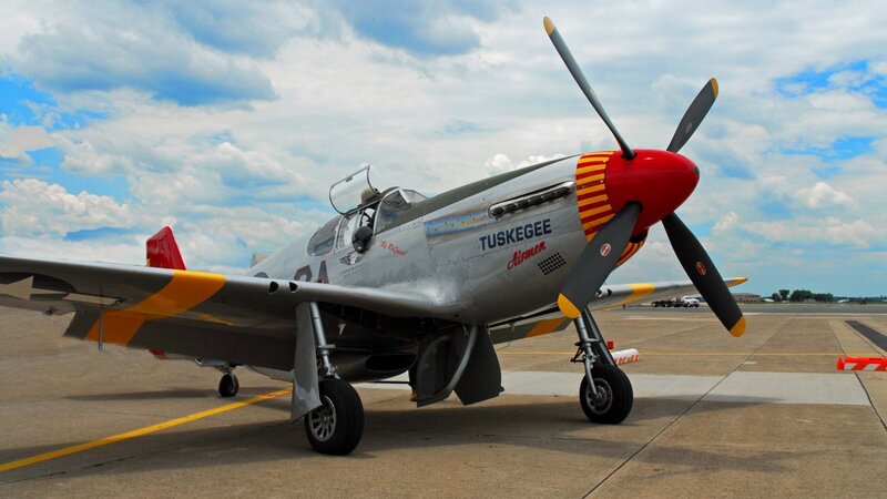 P-51 Mustang Airplane — Gray, Clear