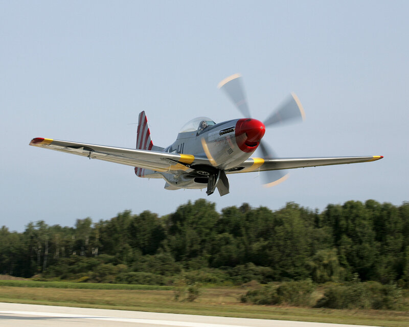 P-51 Mustang Airplane — Gray, Dynamic