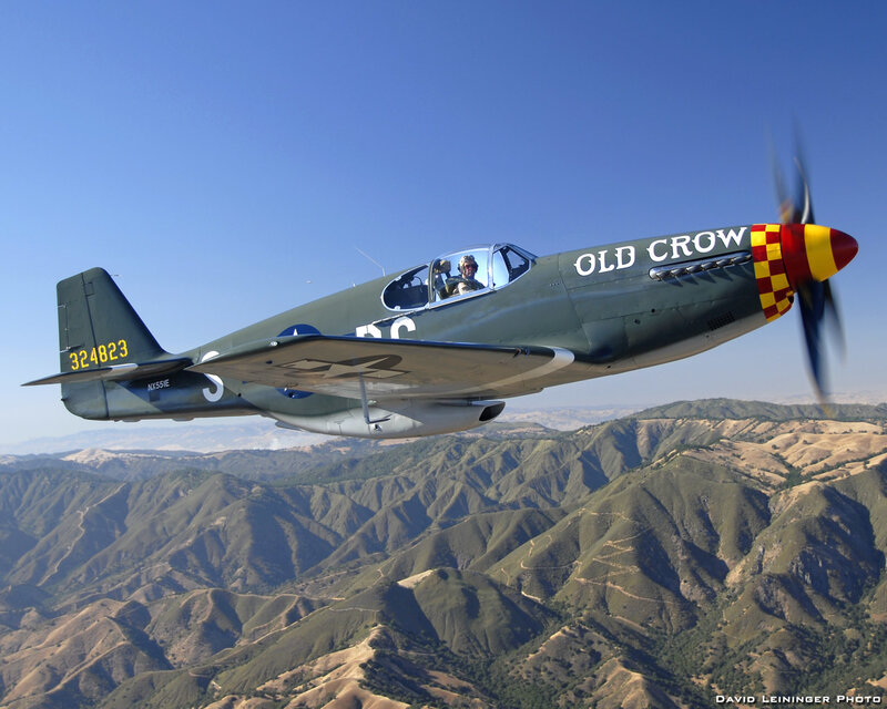 P-51 Mustang Airplane — Green, Serene