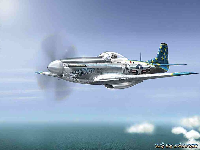 P-51 Mustang Airplane — Silver, Calm, Afternoon
