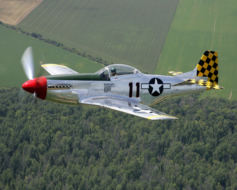 P-51 Mustang Airplane — Silver, Dynamic