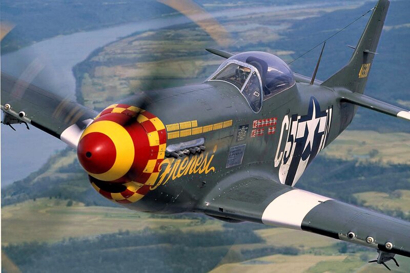 P-51 Mustang Fighter — Green, Dynamic