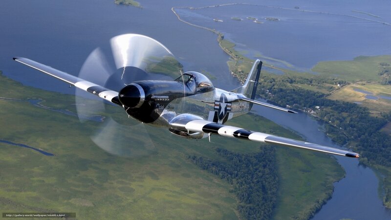 P-51 Mustang in flight