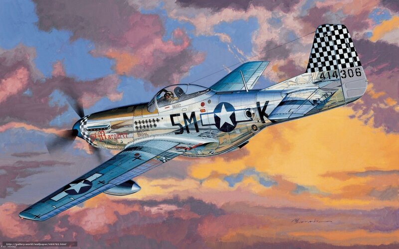 P-51 Mustang in flight