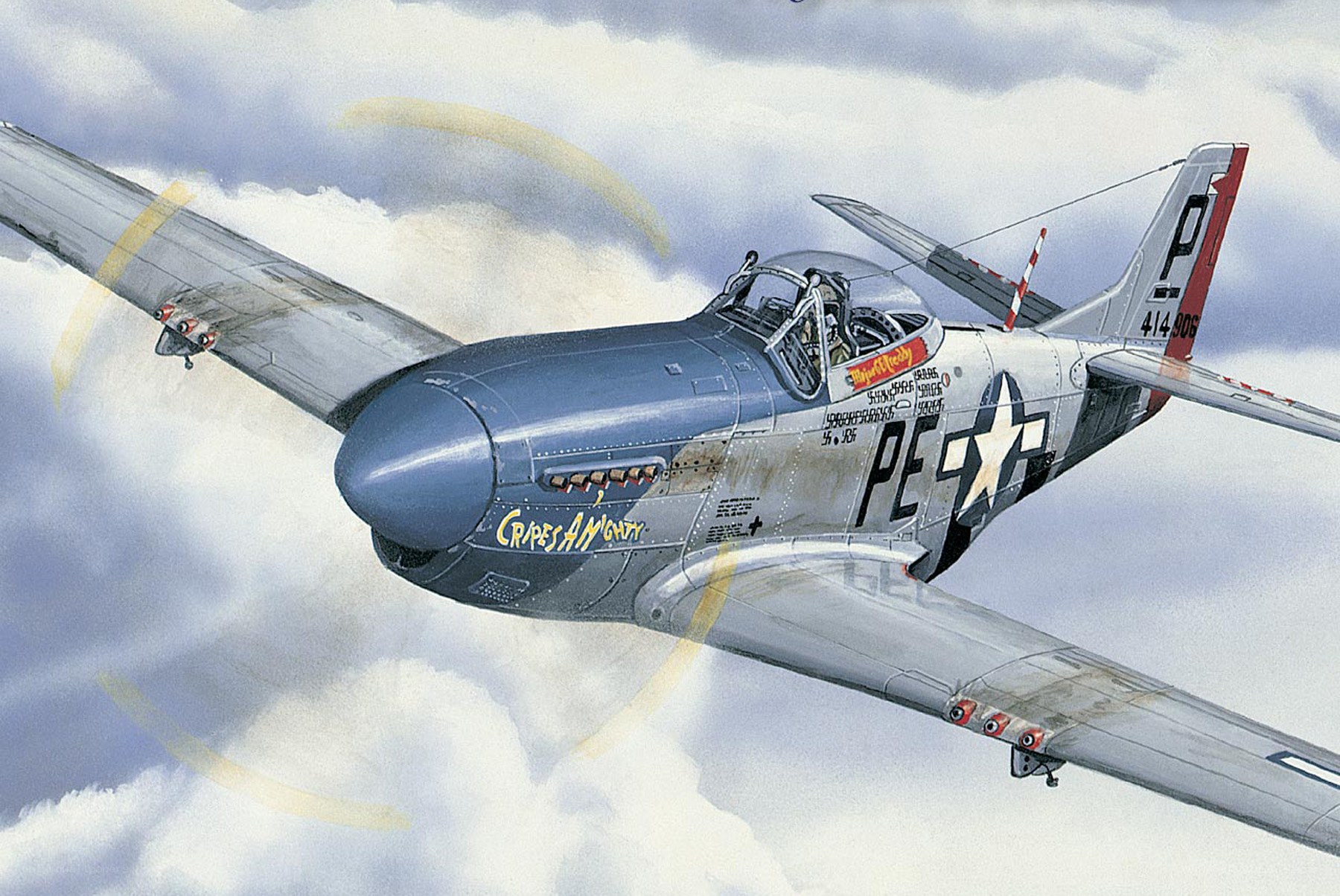 P-51 Mustang in flight