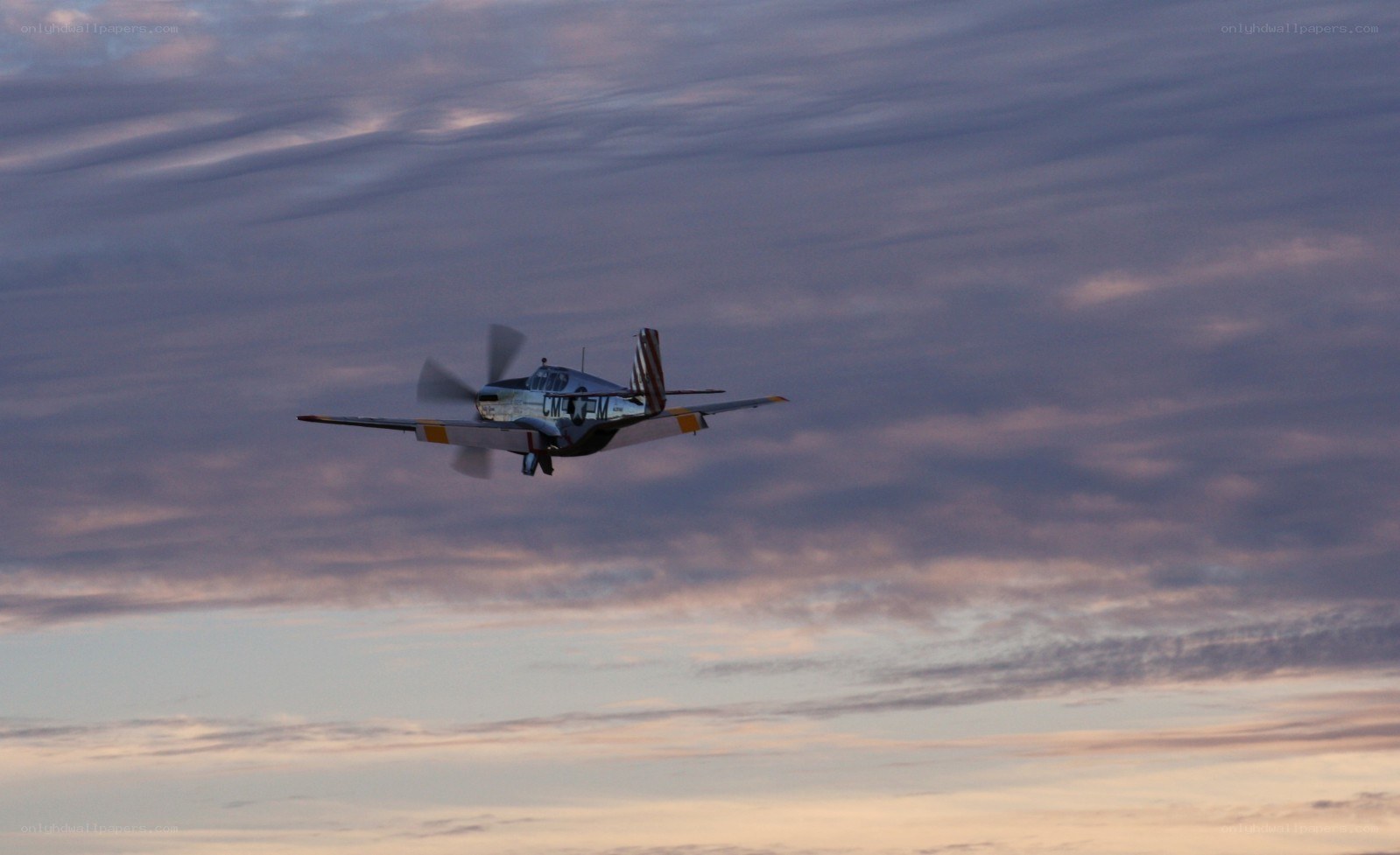P-51 Mustang in flight
