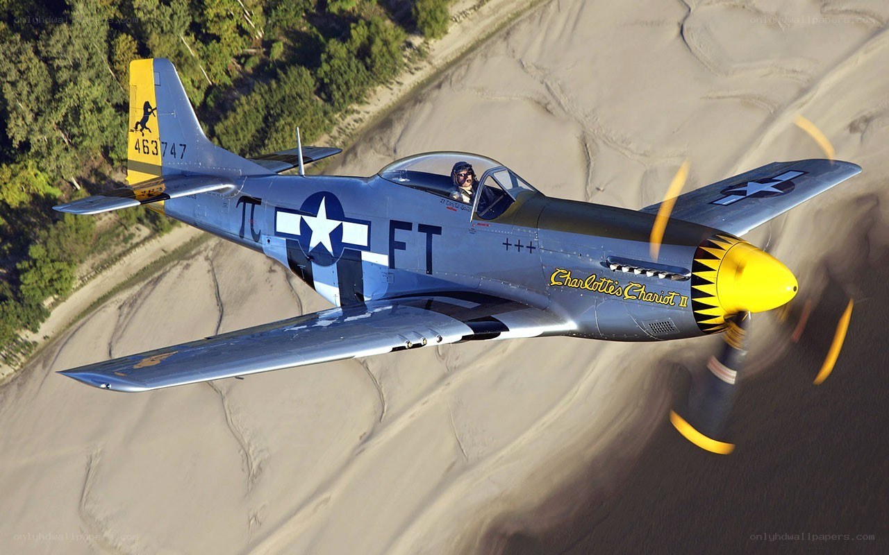 P-51 Mustang in flight