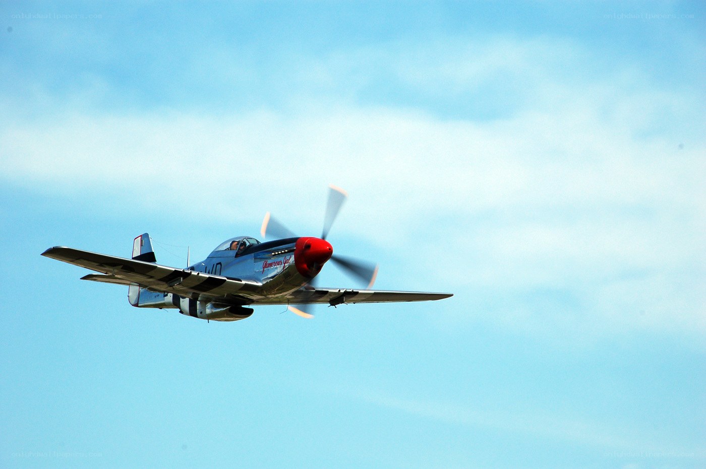 P-51 Mustang in flight