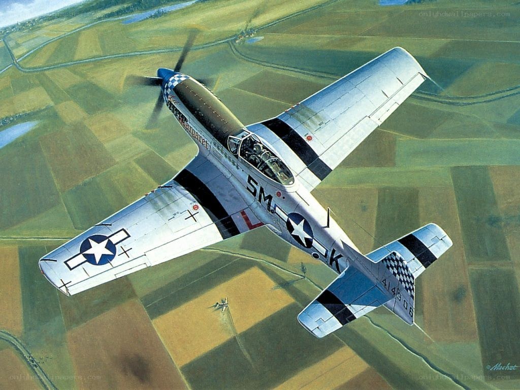 P-51 Mustang in flight