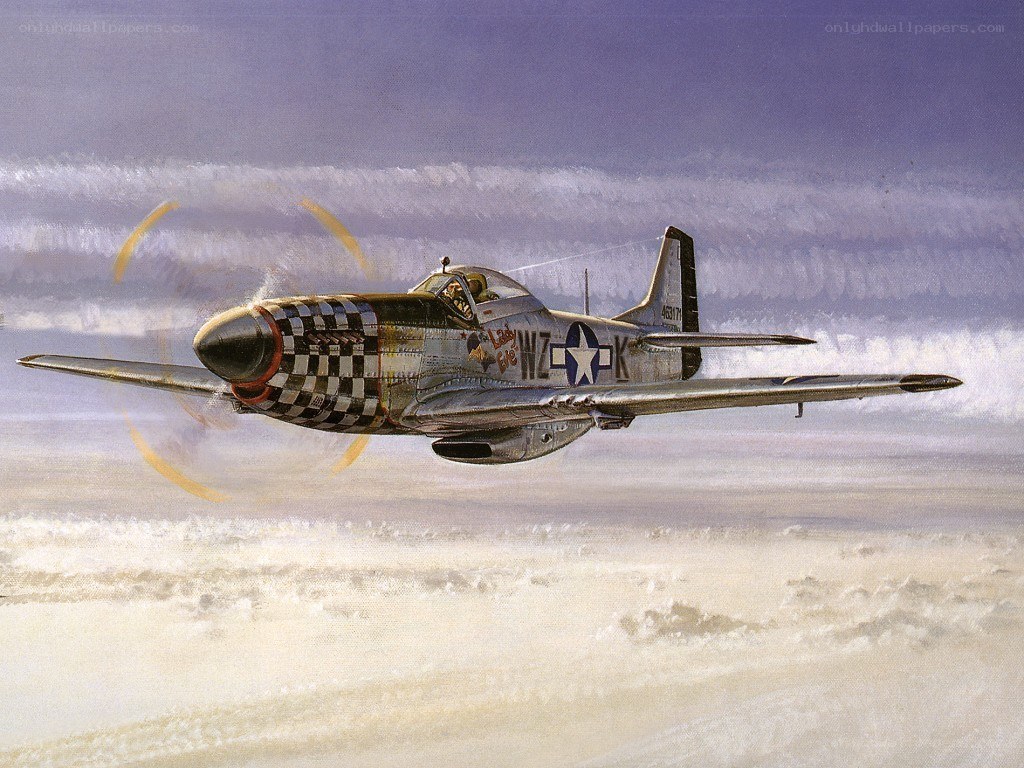 P-51 Mustang in flight