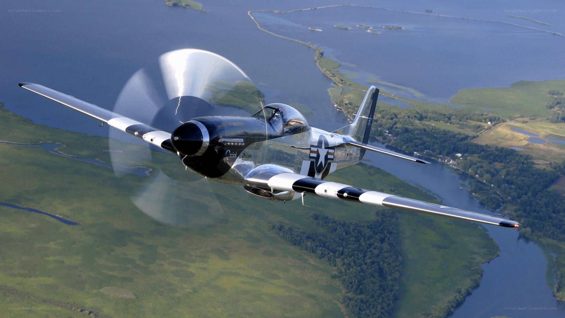 P-51 Mustang in flight