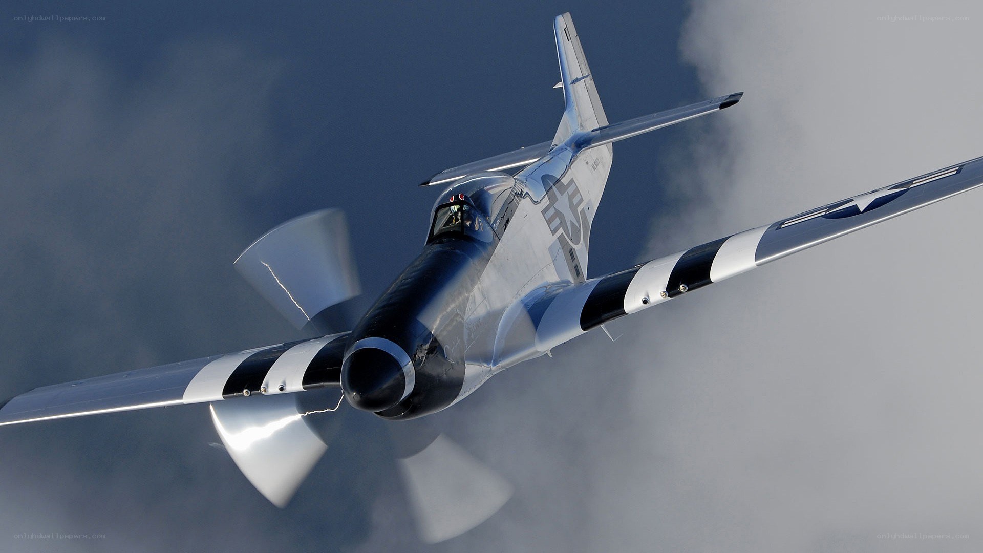 P-51 Mustang in flight