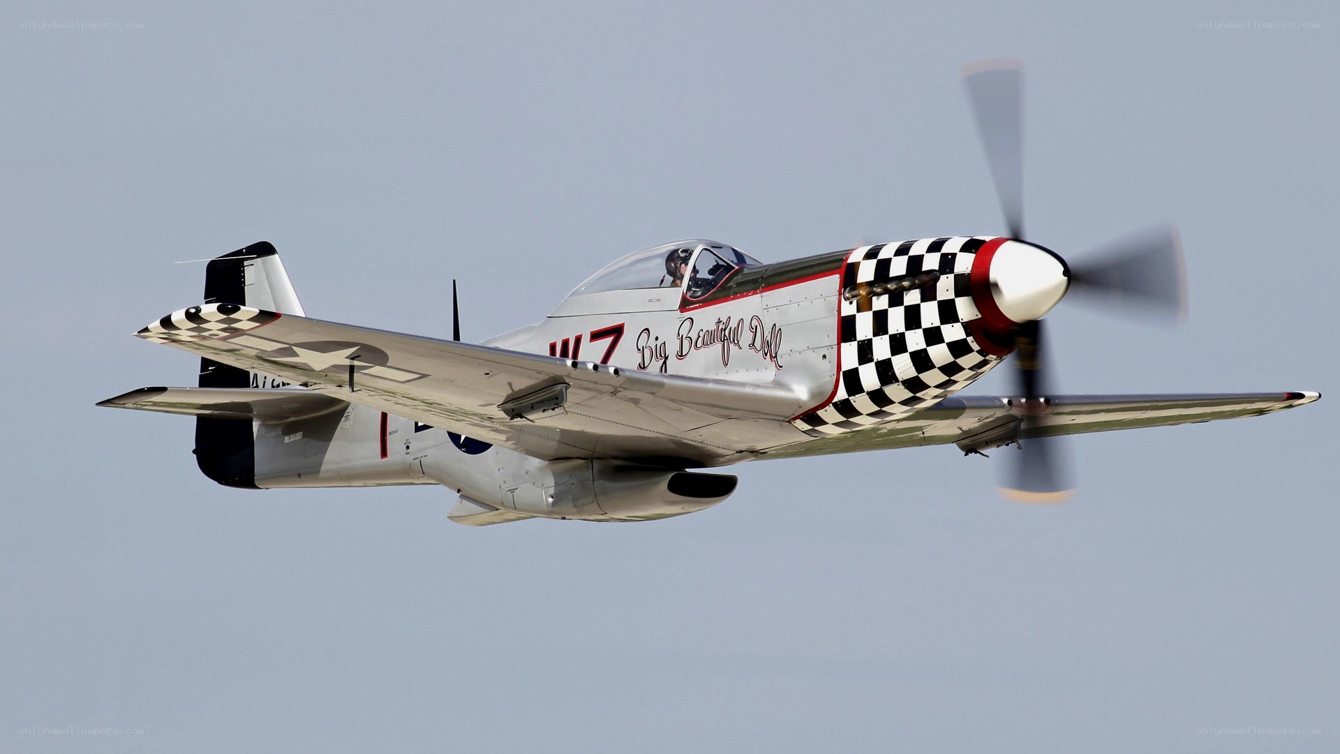 P-51 Mustang in flight