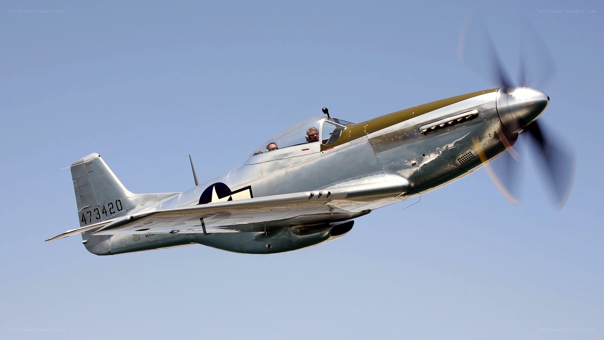 P-51 Mustang in flight
