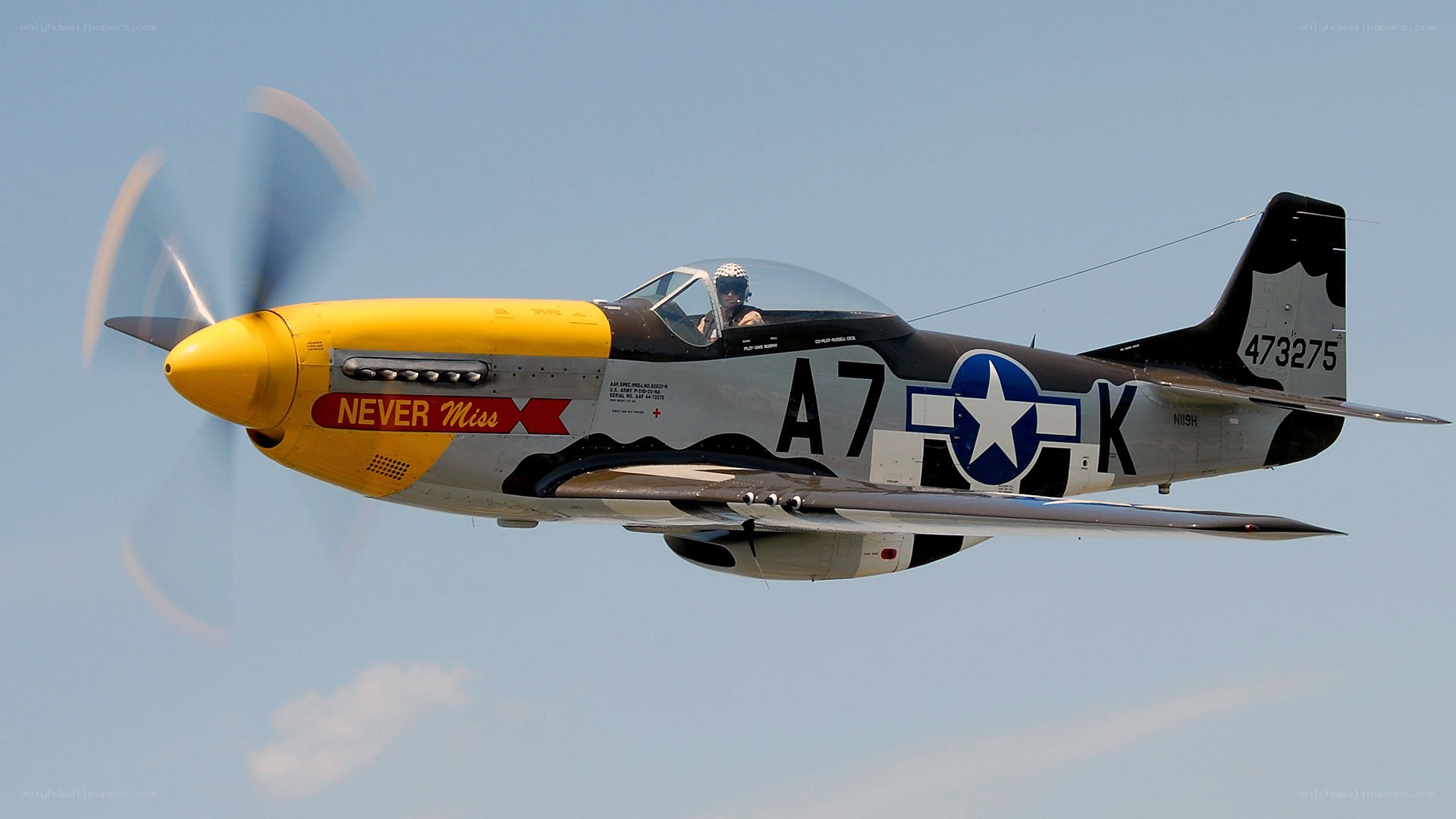 P-51 Mustang in flight