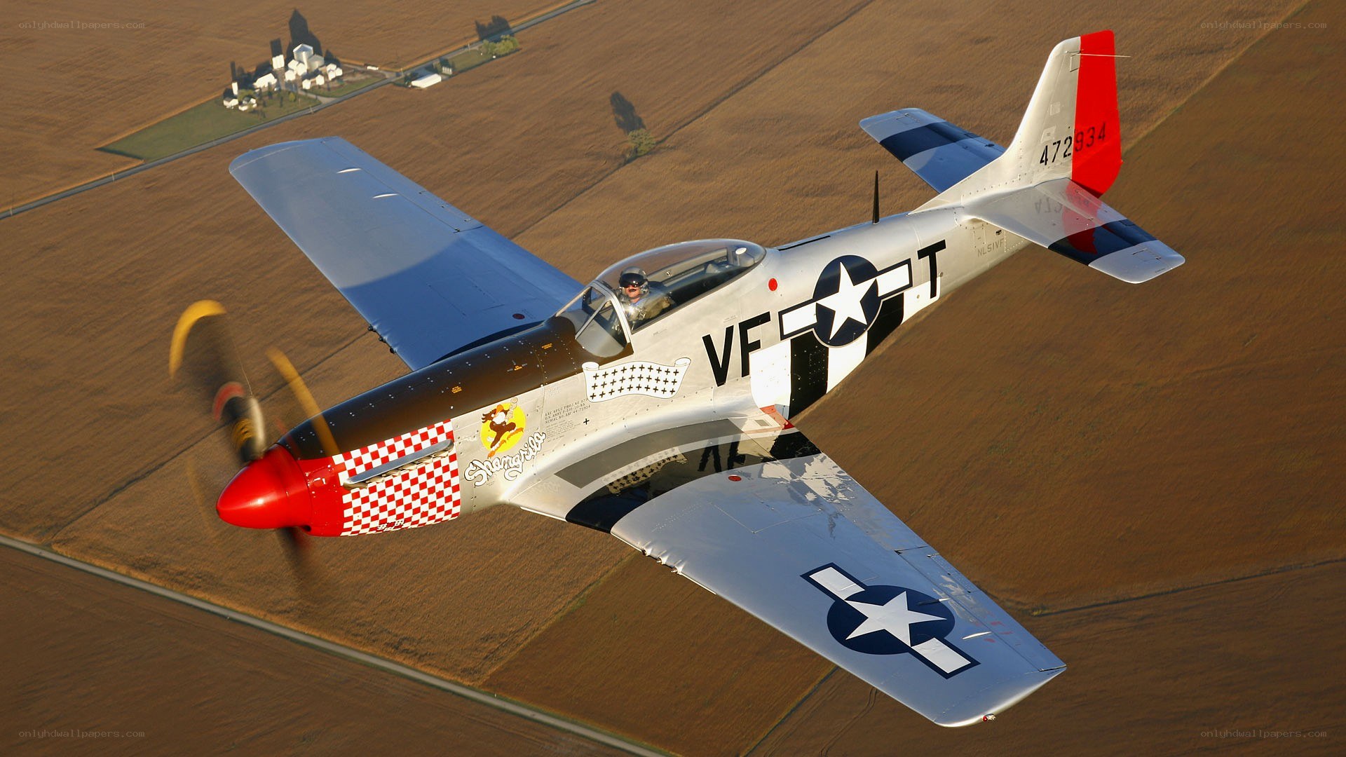 P-51 Mustang in flight