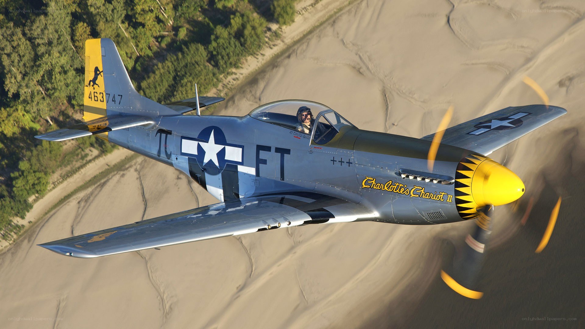 P-51 Mustang in flight