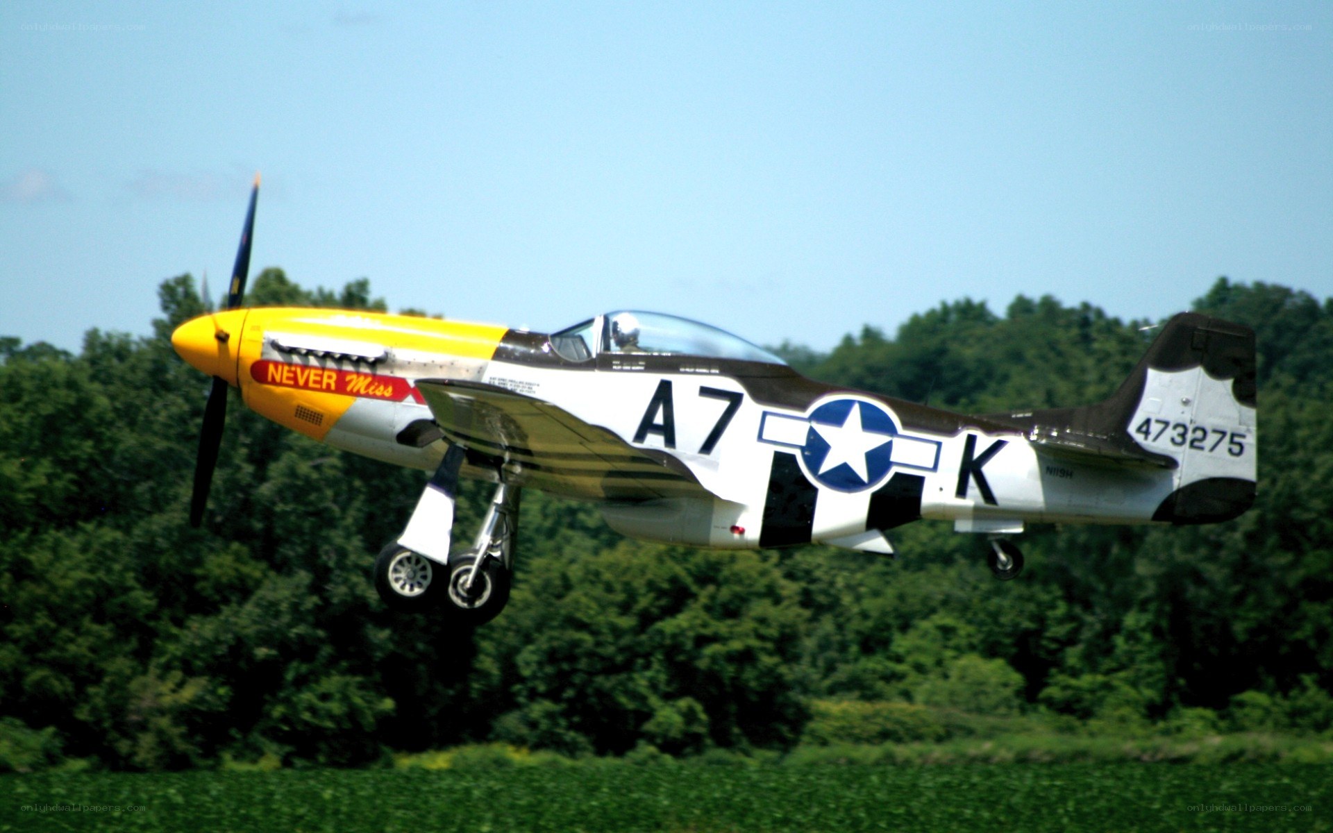 P-51 Mustang in flight