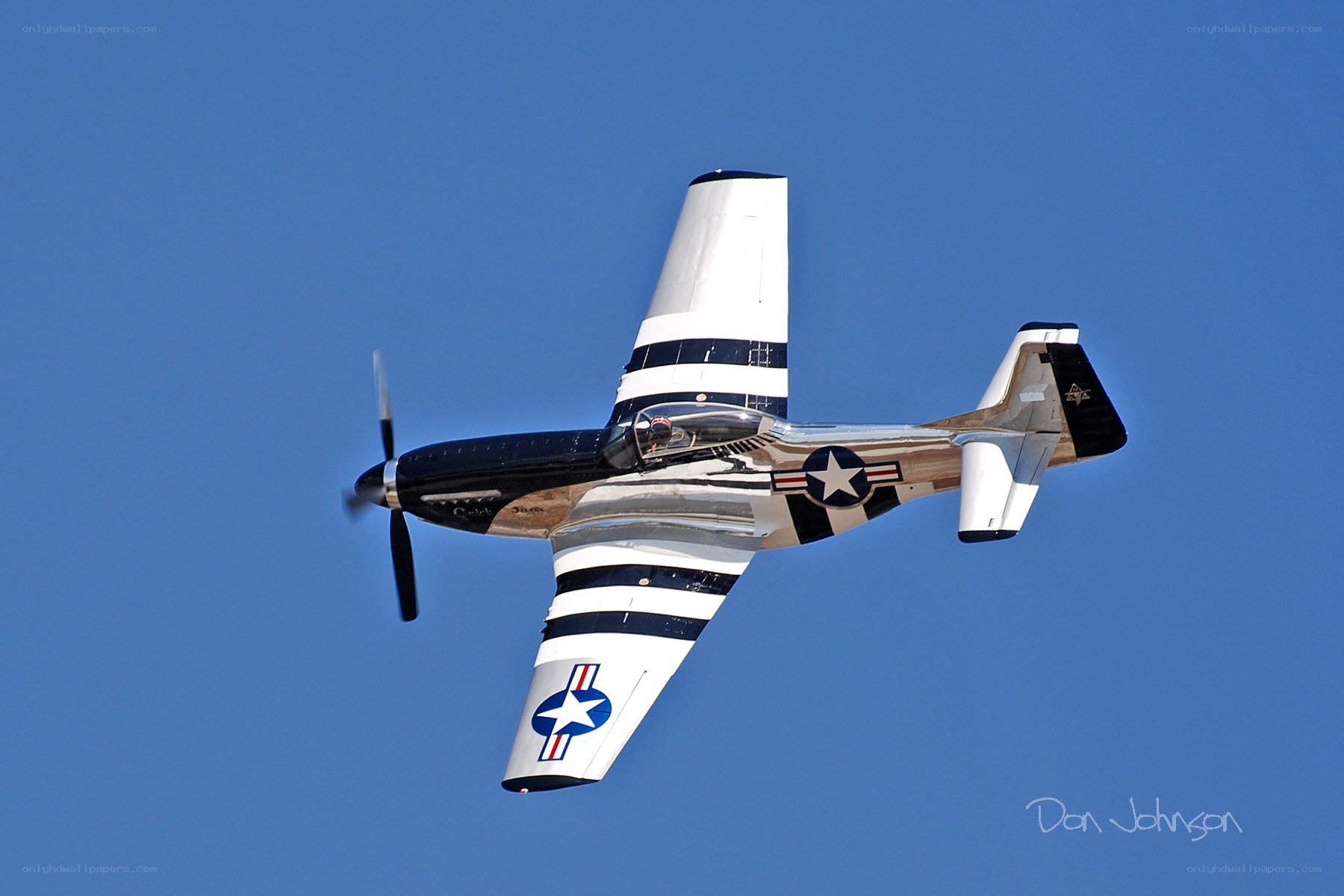 P-51 Mustang in flight