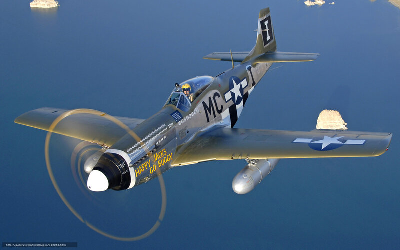 P-51 Mustang in flight