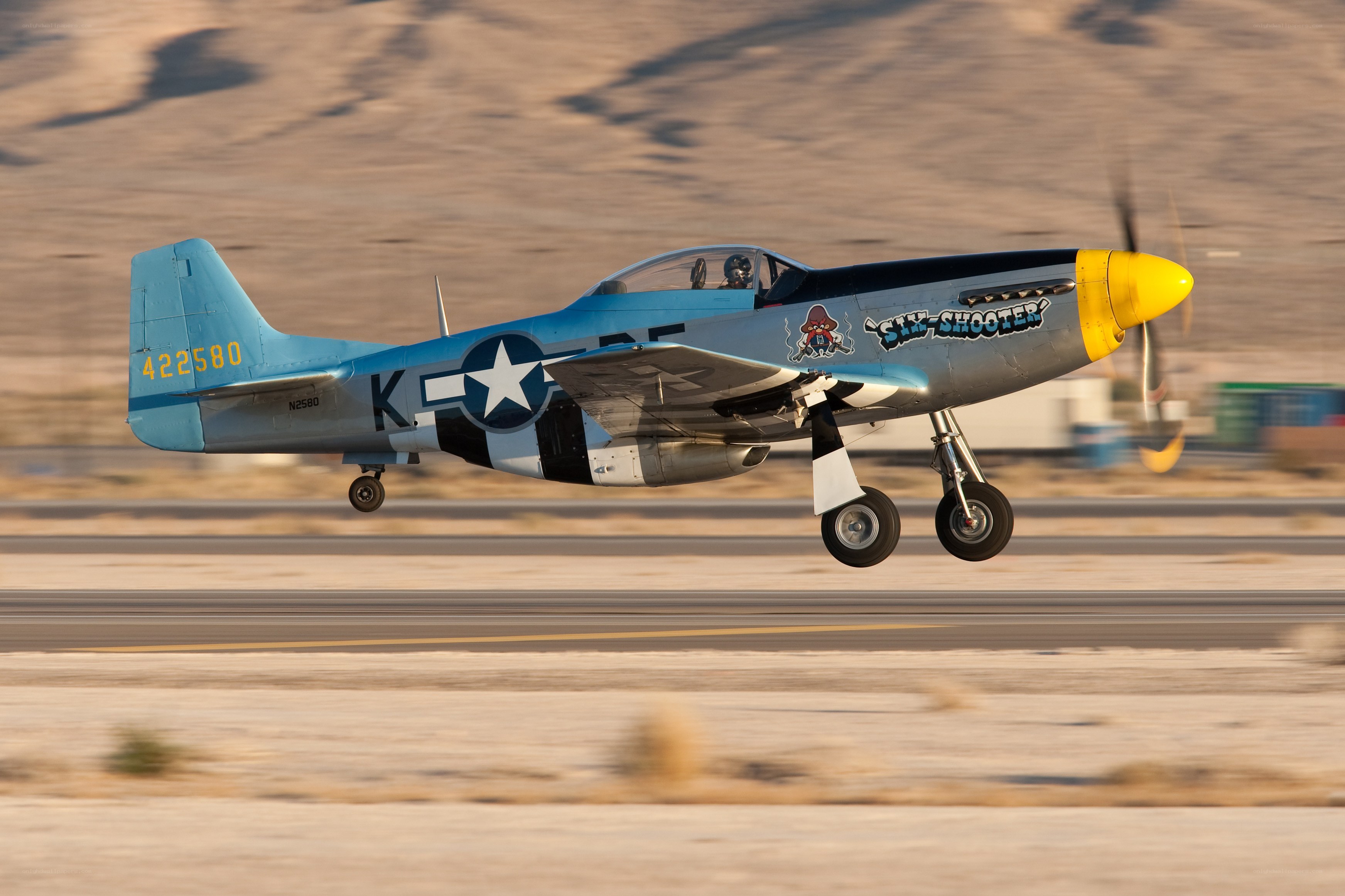 P-51 Mustang in flight