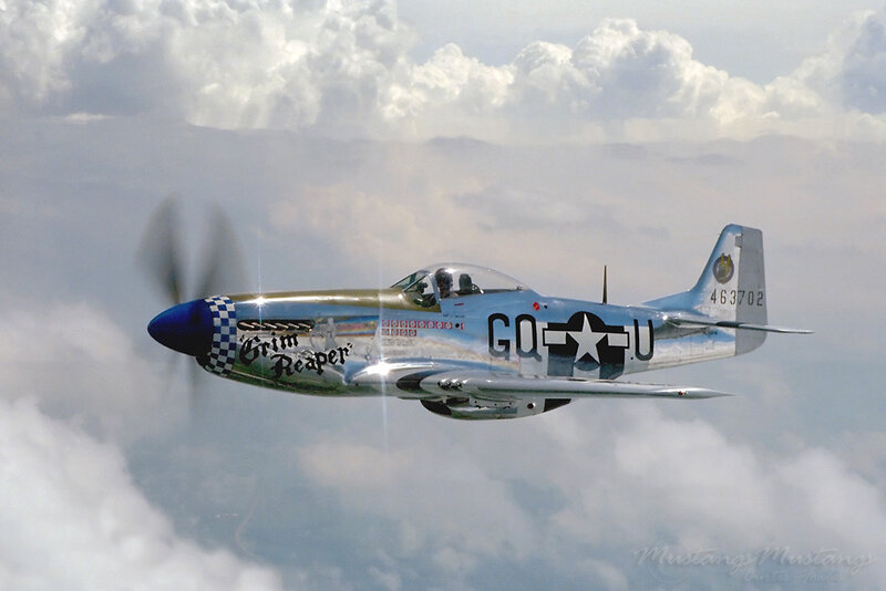 P-51 Mustang in flight