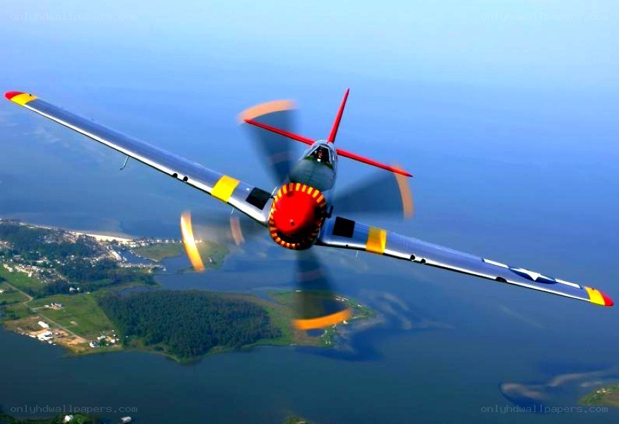 P-51 Mustang in flight
