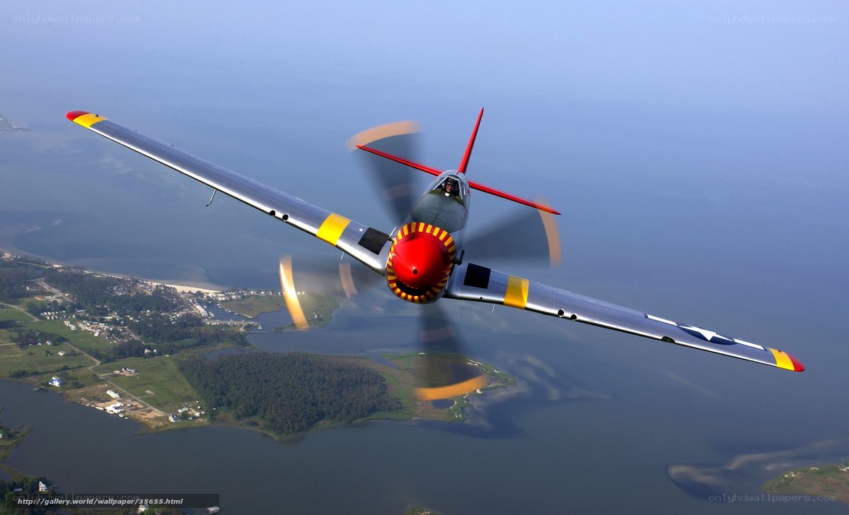 P-51 Mustang in flight