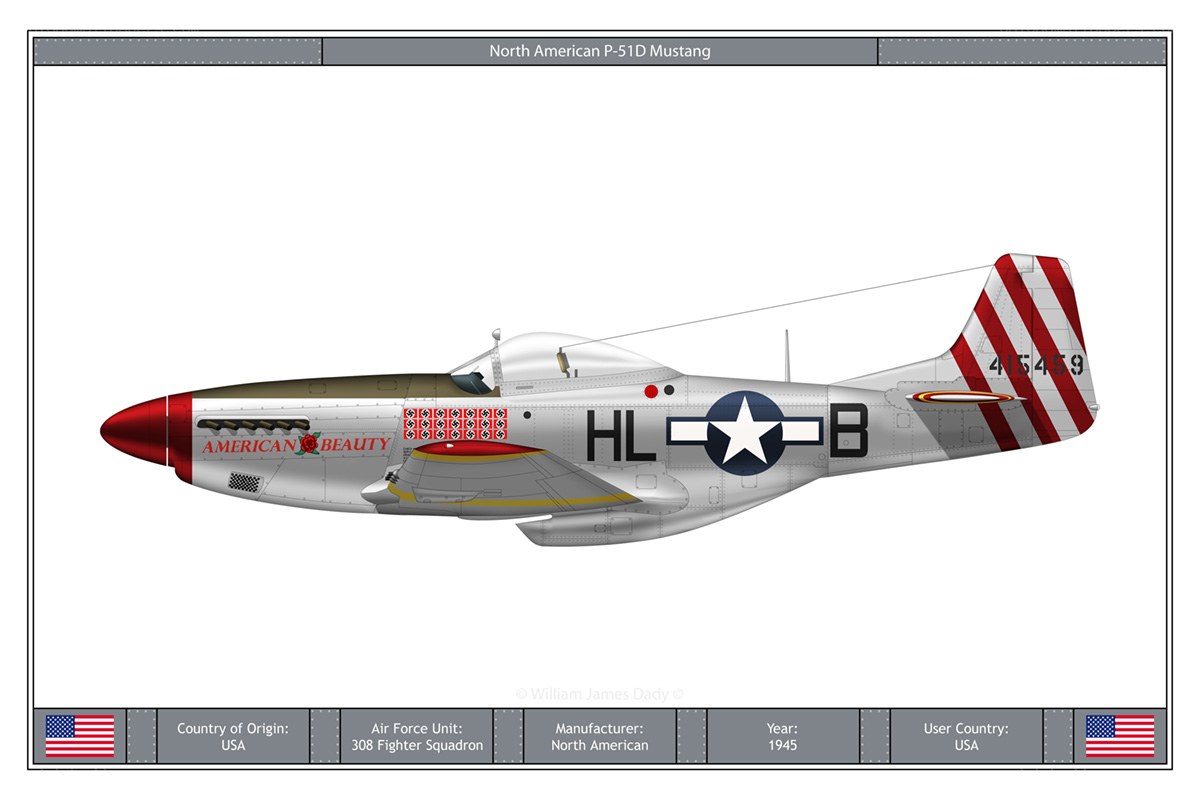 P-51D Mustang aircraft