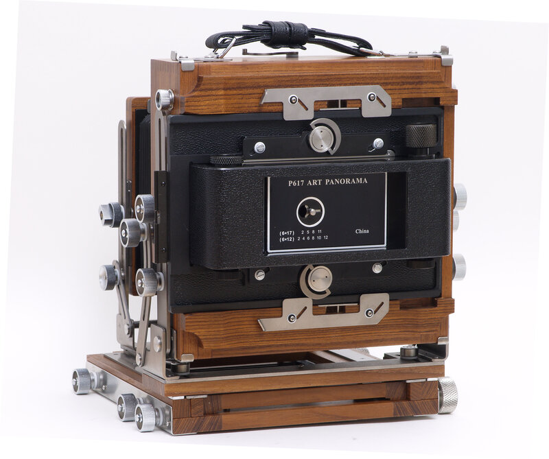 P617 Art Panorama camera