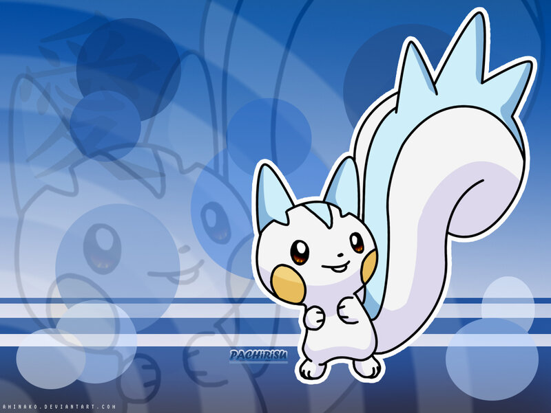 Pachirisu character wallpaper
