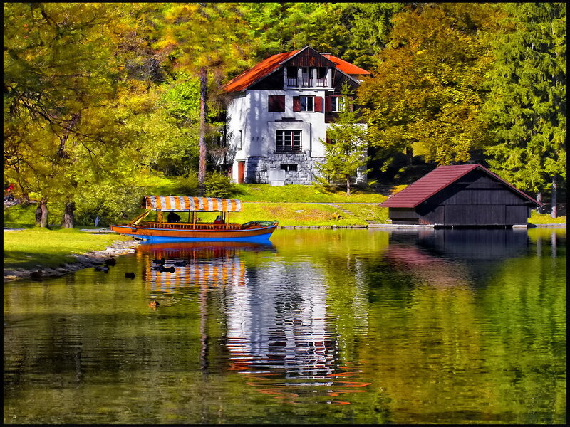 Paddle Boat on Lake