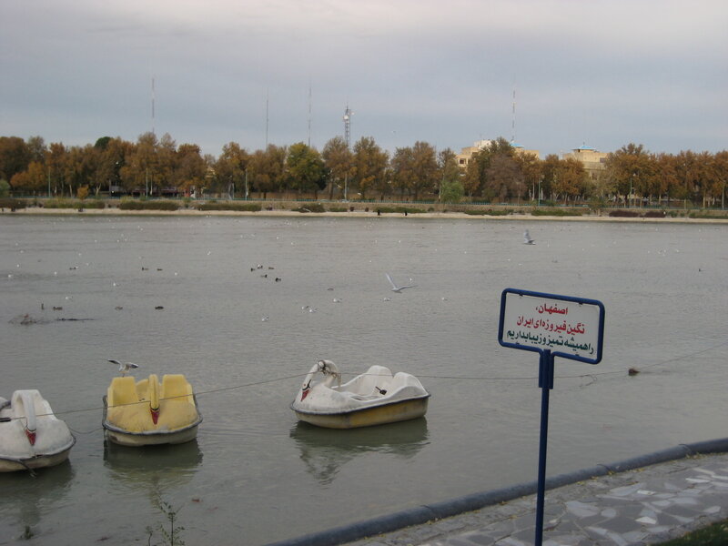 Paddle Boats on Lake — Gray