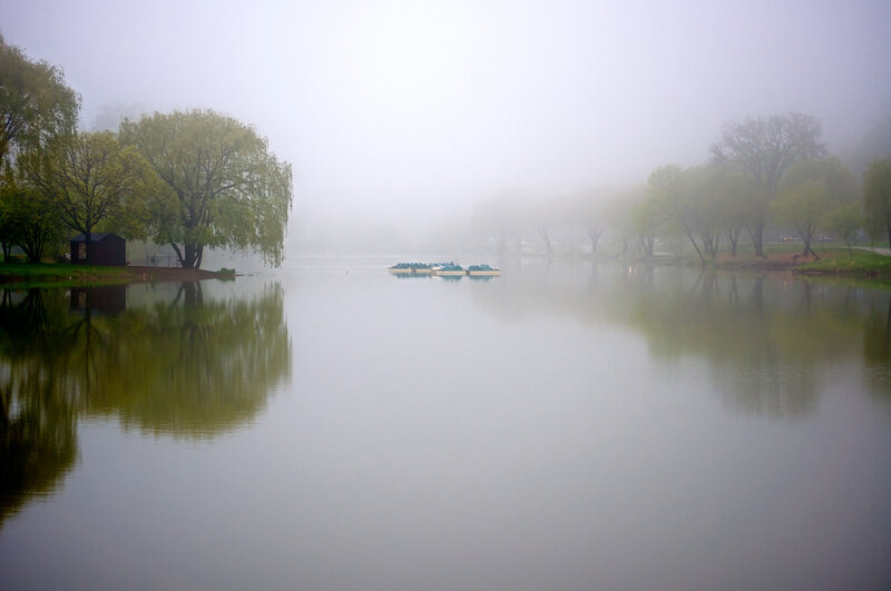 Paddle Boats on Lake