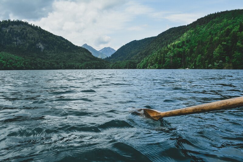 Paddle in Lake Water