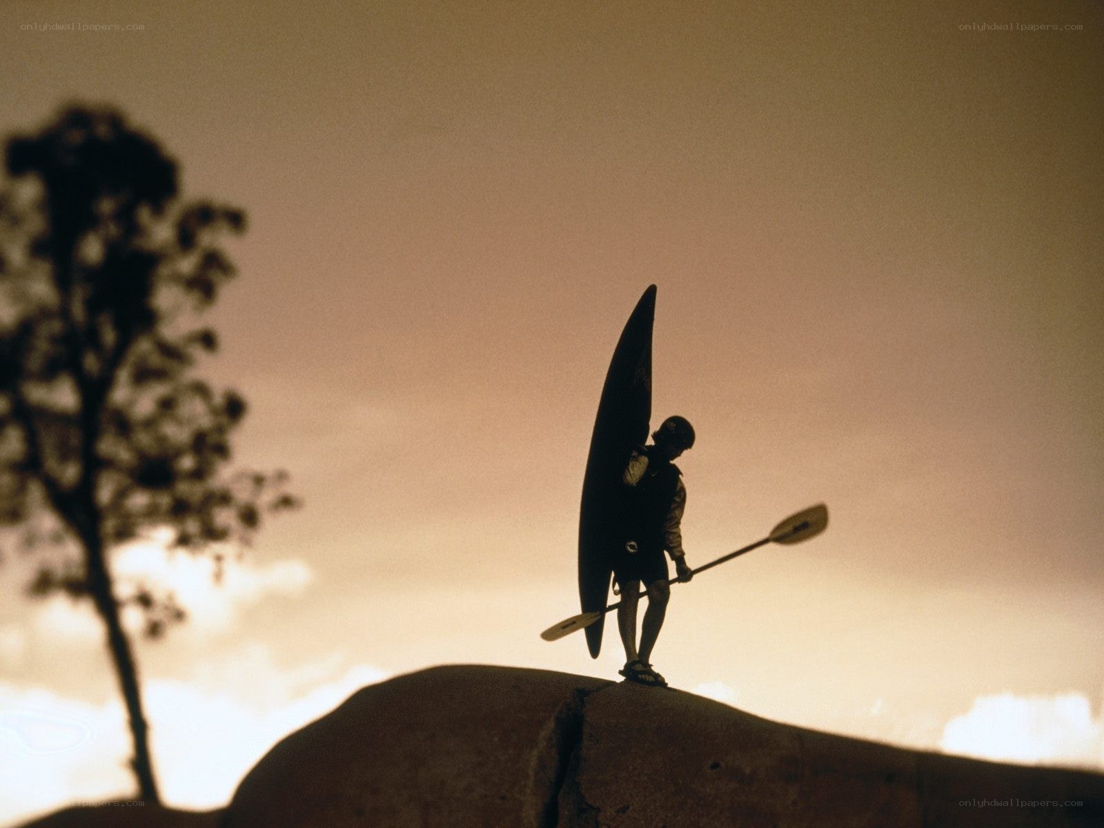 Paddler at sunset silhouette