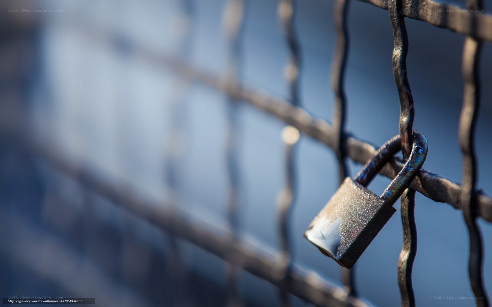 Padlock on a metal fence