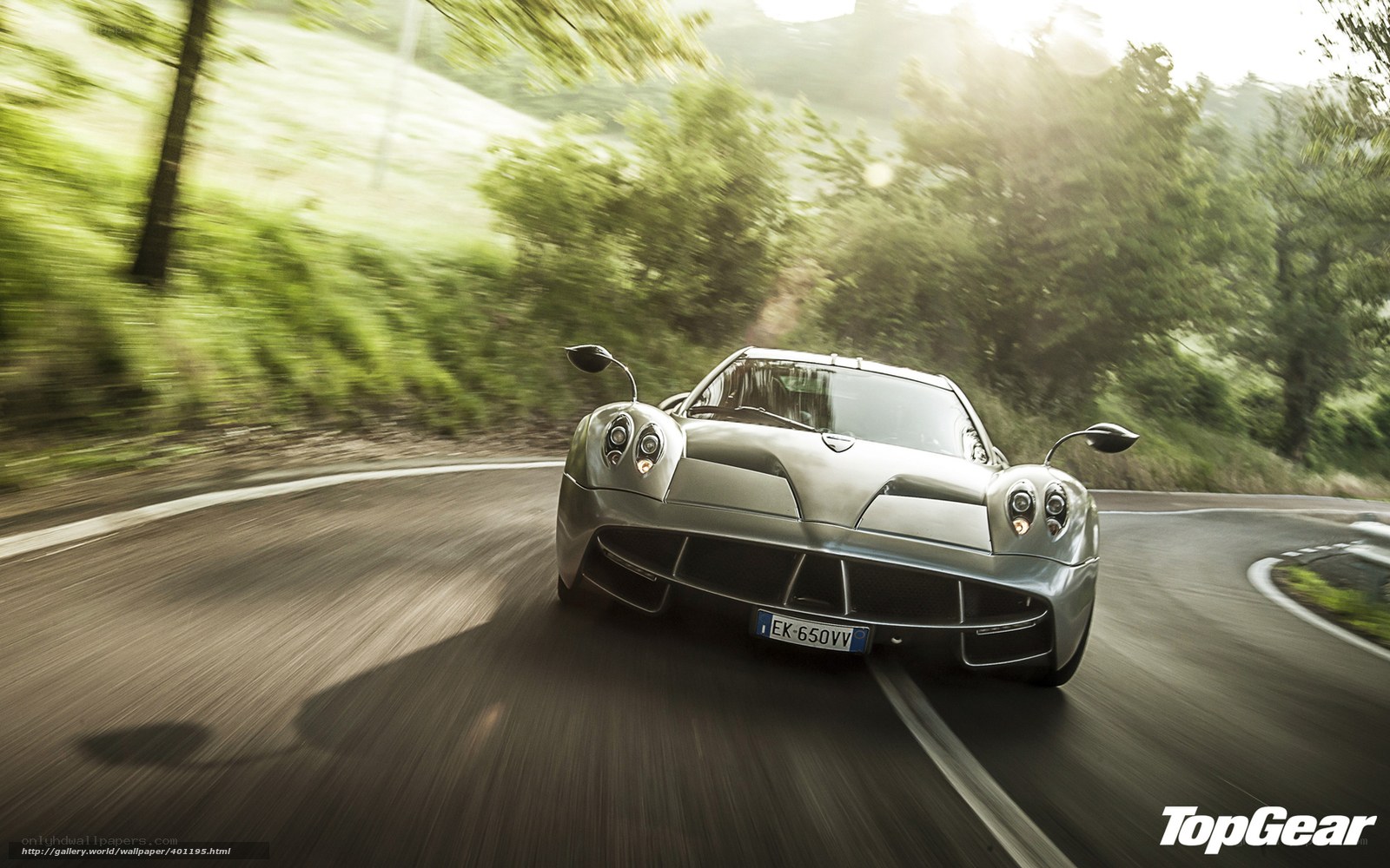 Pagani Huayra on winding road