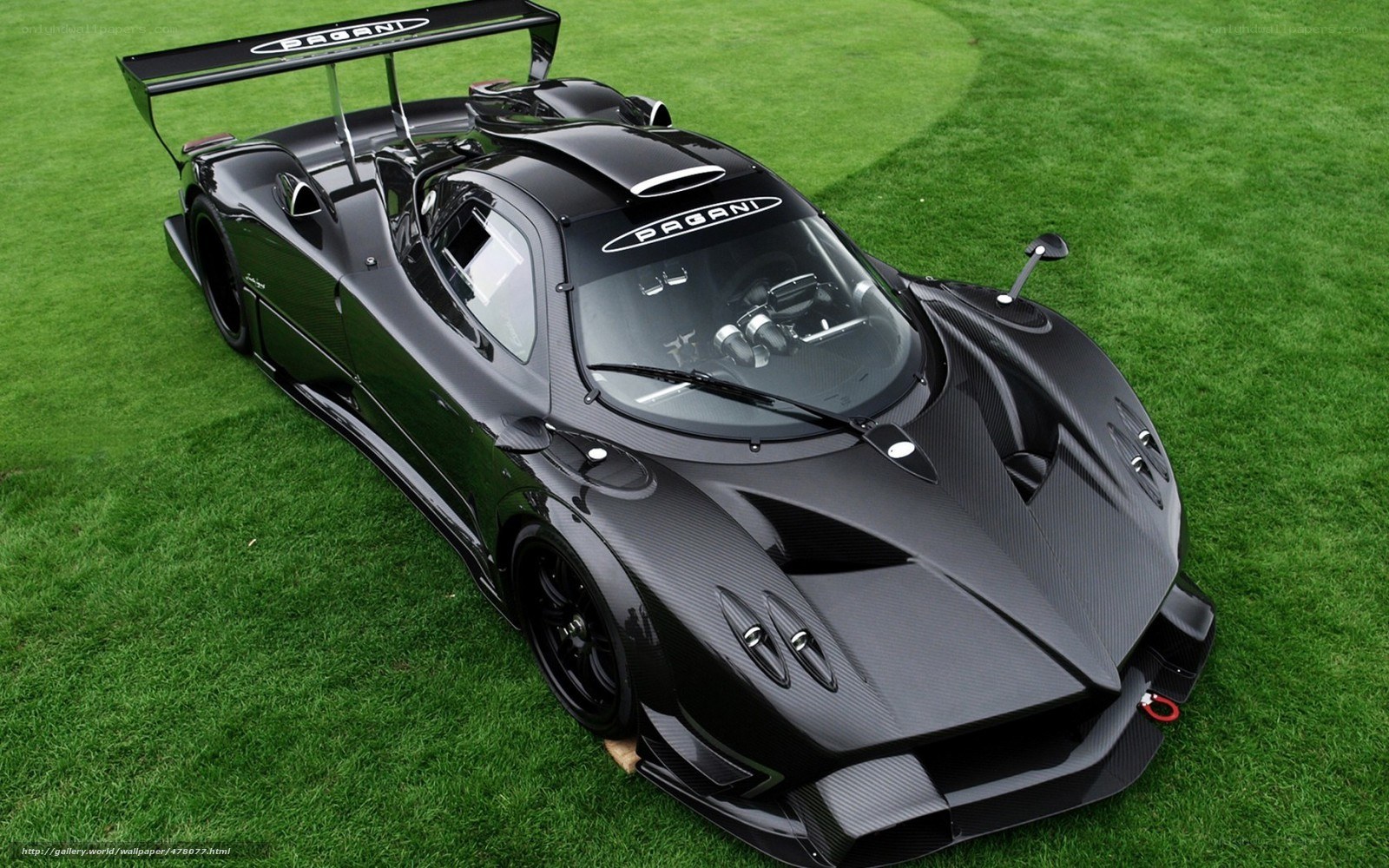Pagani Zonda R on grass