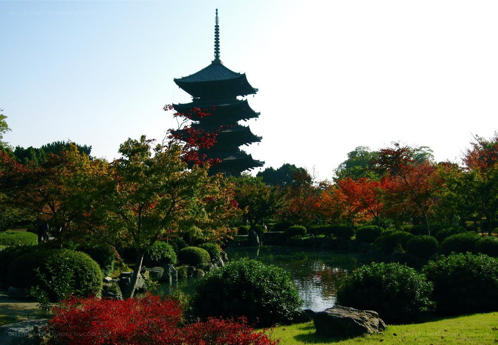 Pagoda in autumn garden
