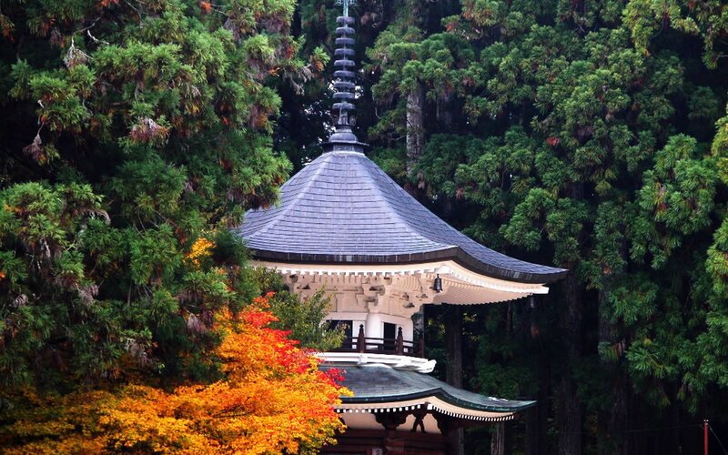 Pagoda in Forest — Green