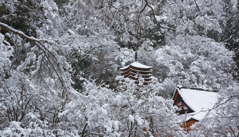 Pagoda in Snowy Forest