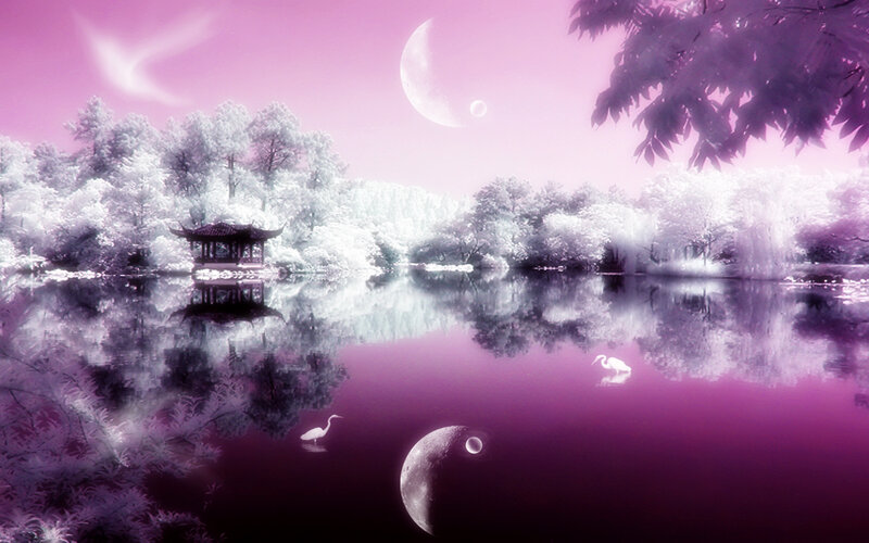 Pagoda on Lake